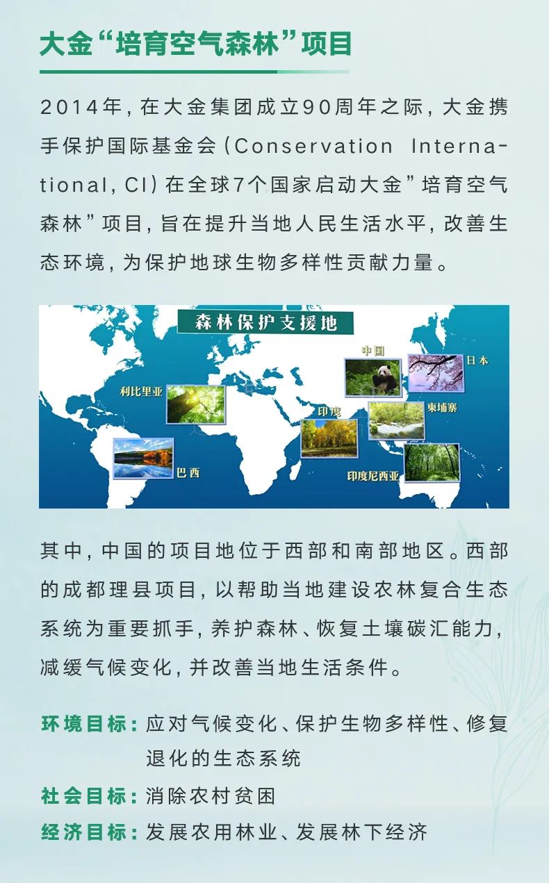 大金“培育空氣森林”項目，用7年創(chuàng)造一個答案2