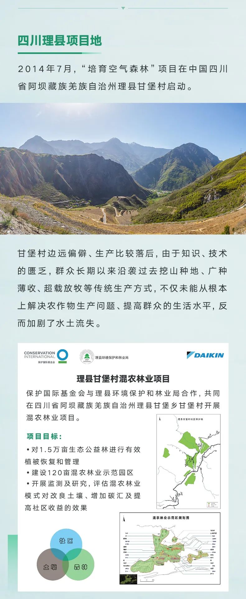 大金“培育空氣森林”項目，用7年創(chuàng)造一個答案3