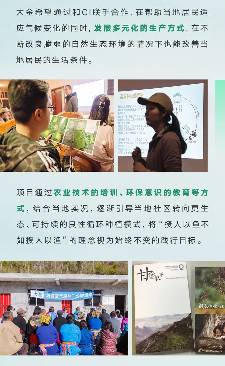 大金“培育空氣森林”項目，用7年創(chuàng)造一個答案4