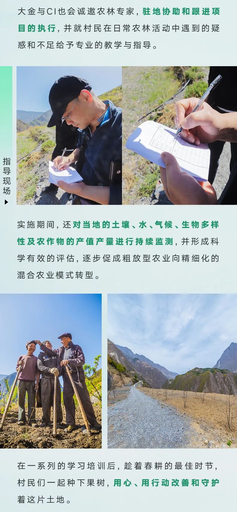 大金“培育空氣森林”項目，用7年創(chuàng)造一個答案5