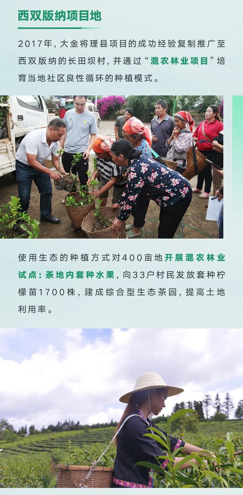 大金“培育空氣森林”項目，用7年創(chuàng)造一個答案7