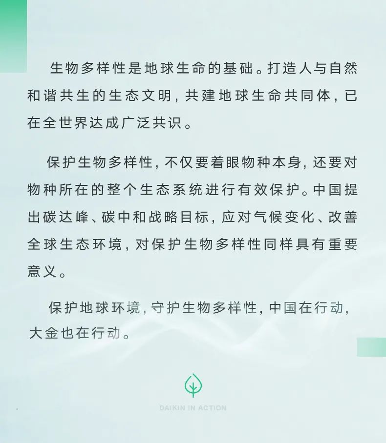 大金“培育空氣森林”項目，用7年創(chuàng)造一個答案11