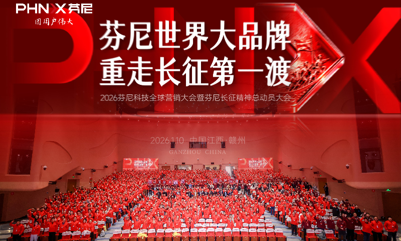 芬尼的“小”目标与“大”行动