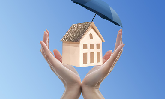 行业多项工作被纳入海南“十五五”规划纲要