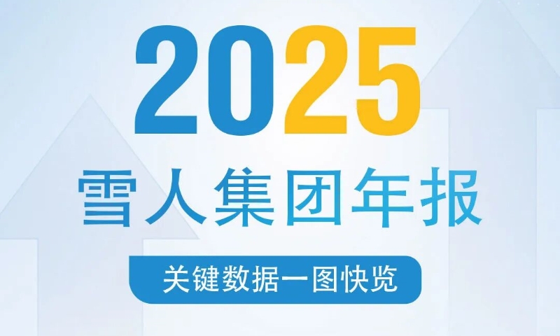 一图看懂雪人集团年报关键数据