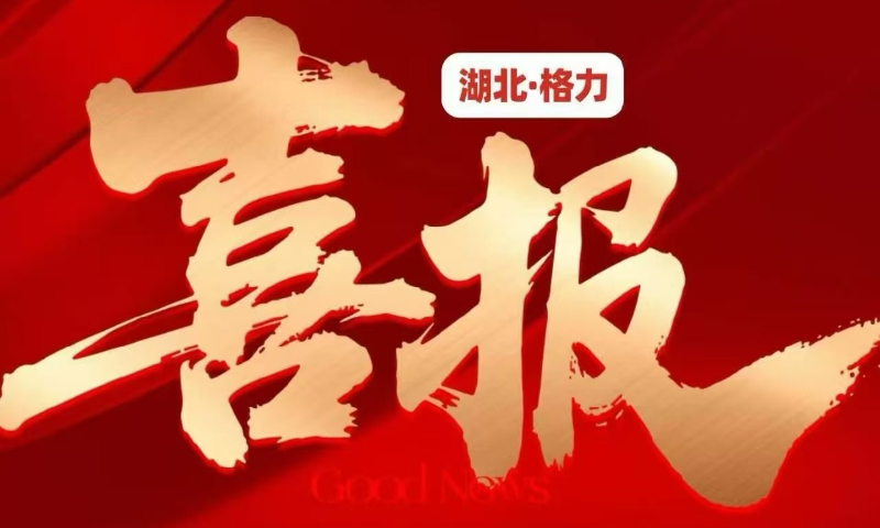 连中两元，格力中央空调实力护航长江电力与宜昌三峡游轮中心