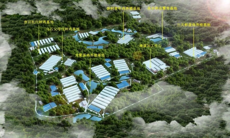 亚洲最大青年鸡基地空气能地暖项目，为什么偏偏选芬尼？