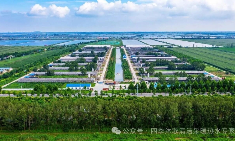 四季沐歌太阳能热泵服务连云港东方养鸡场鸡舍供暖项目